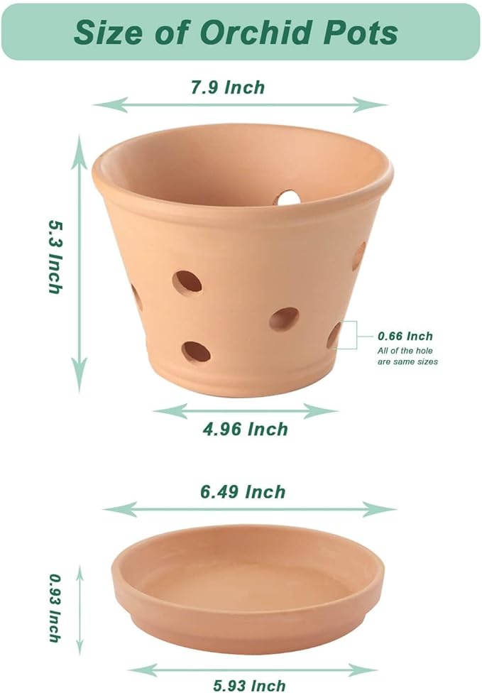 vensovo 8 Inch Terracotta Orchid Pots with Holes and Saucers - 2 Pcs Large Clay Planters for Repotting, Terra Cotta Pot for Plants Indoor and Outdoor Promotes Air Circulation