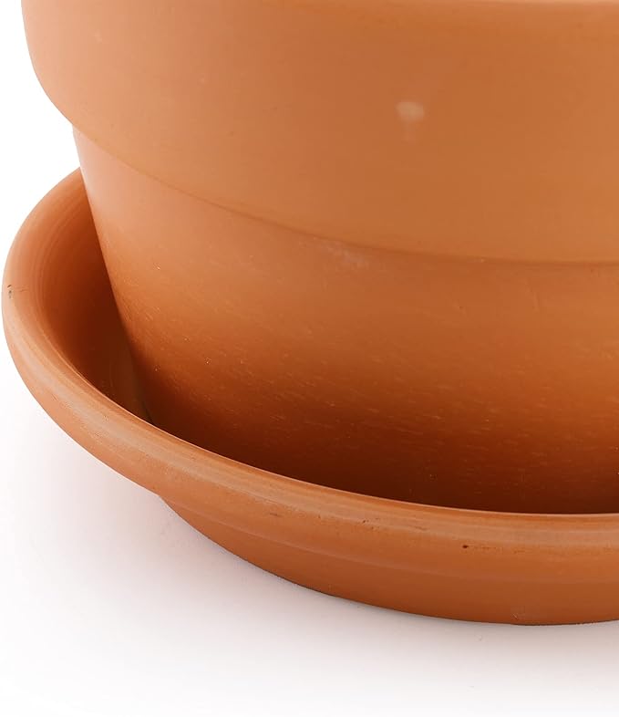 Suwimut 4 Pack Terracotta Pots with Saucer, 6 Inch Large Terra Cotta Plant Pot with Drainage Hole, Clay Flower Planter Pot with Tray for Indoor Outdoor Plant