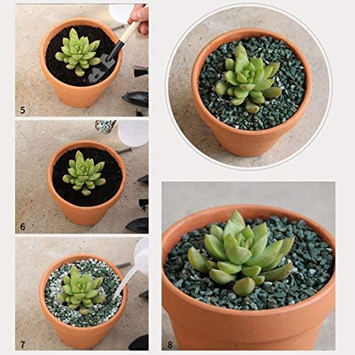 OLEEP Clay Pot - 12 Pack Large Terra Cotta Plant Pot with Drainage Hole, Clay Planters Pot, Terracotta Pot for Indoor Outdoor Plant (4.7 inch)