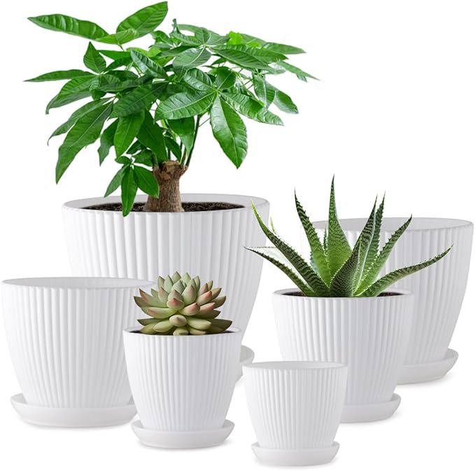 7.5/6.5/5.5/4.9/4.2/3.5 Inch Plant Pots, Plastic Flower Pots with Drainage Holes and Plate, Indoor/Outdoor Plant Planters with Different Size, 6 Pack Durable Pots for Plants, White
