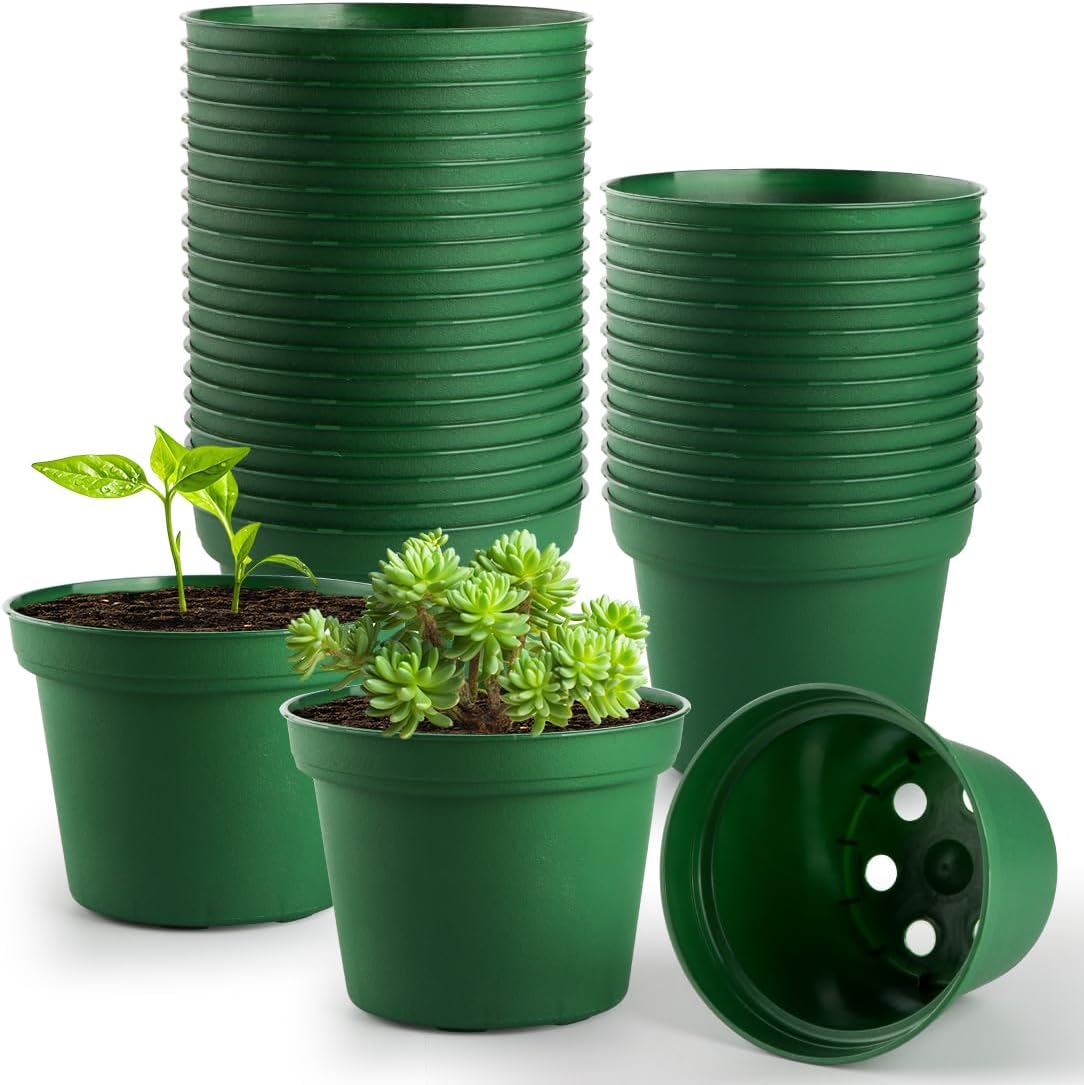 60 Pack 3 Inch Nursery Pots for Plants, Seedling Plant Pots with Drainage Holes for Indoor Outdoor Plants, Transplanting, Succulents, Seeding, Cuttings, Gardening Gifts (Green)