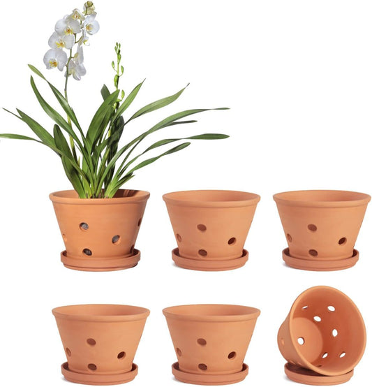 vensovo 4 Inch Terracotta Orchid Pots with Holes and Saucers - 6 Pcs Small Clay Planters for Repotting, Terra Cotta Pot for Plants Indoor and Outdoor Promotes Air Circulation