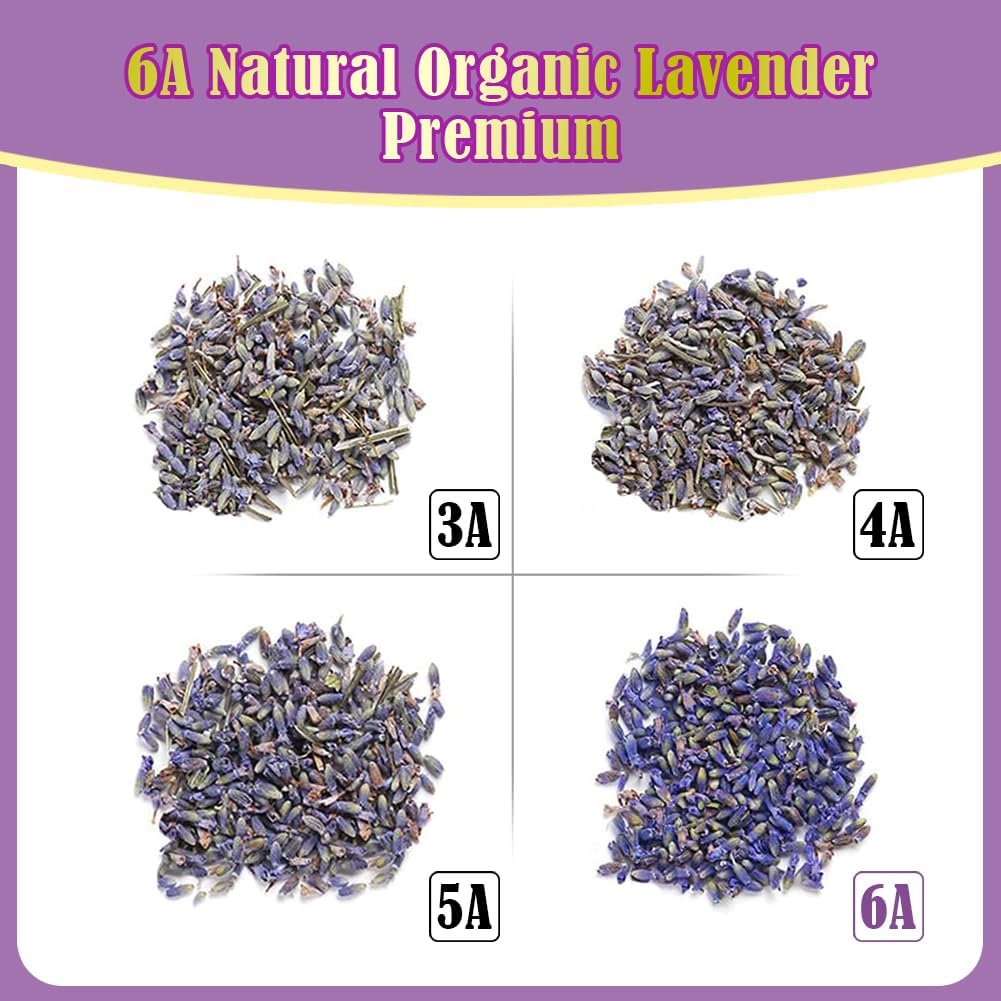 Cedar Space 32 Lavender Sachet Bags for Drawers and Closets Filled with Premium Dried Lavender Smell Good Products Long Lasting Bridal Shower Favors Home Fragrance Sachet Packets for Clothes Storage