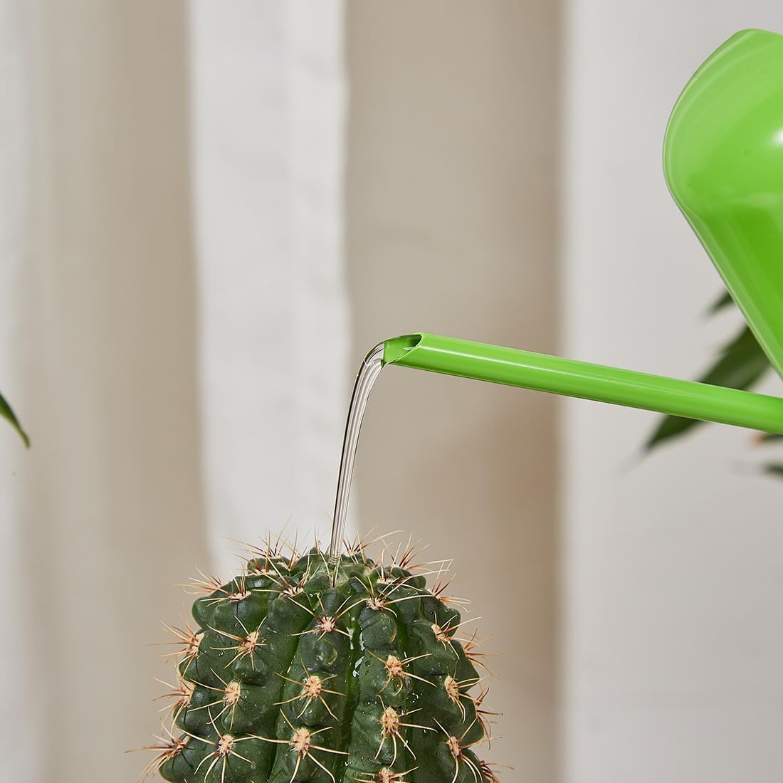 Watering Cans, 10oz/300ml Stainless Steel Long Spout Small Watering Sprinkling Pot, Indoor Outdoor Garden Flower Succulents Plant Watering Cans, Stylish Gardening Decoration(Green)