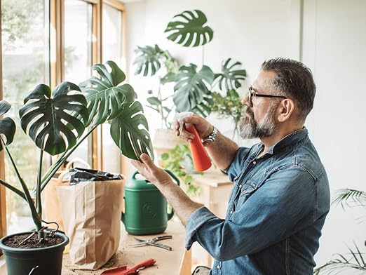 Monstera Plant Superfood - 8 oz - Organic Liquid Kelp Fertilizer for Stunning Growth and Vibrant Foliage
