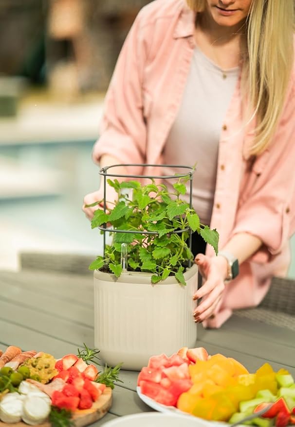 Vego garden Mini Planter Indoor Pots with Trellis Self-Watering Herb Countertop Planter for Climbing Vegetables Flowers Mint Plants Cage 2 Pack- Cream White