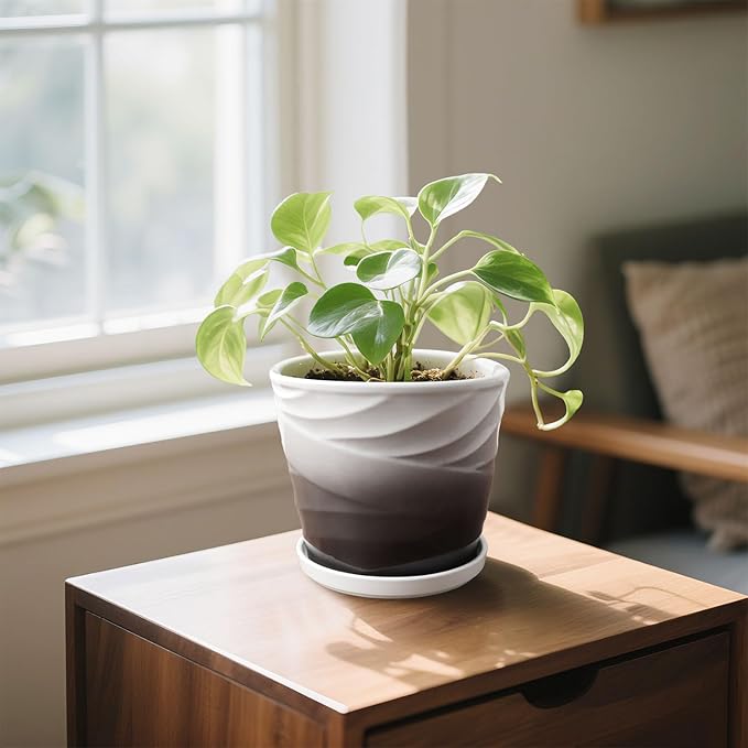 8 Inch Indoor Plant Pot with Drainage Holes and Saucers, Ceramic Planter for Plants, Succulent Orchid Flower Pots(Dark Gray+White)