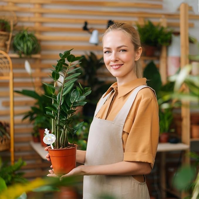 4 PCS Plant Self Watering Globes 8.9 Inch Self Watering Planter Insert Glass Water Globes for Indoor Plants & Outdoor Plants