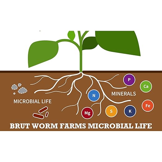 Brut Organic Cow Compost - 10 Quart - Nutrient-Rich Fertilizer for Thriving Gardens - Safe, Pure, and Effective, (10 Pack)