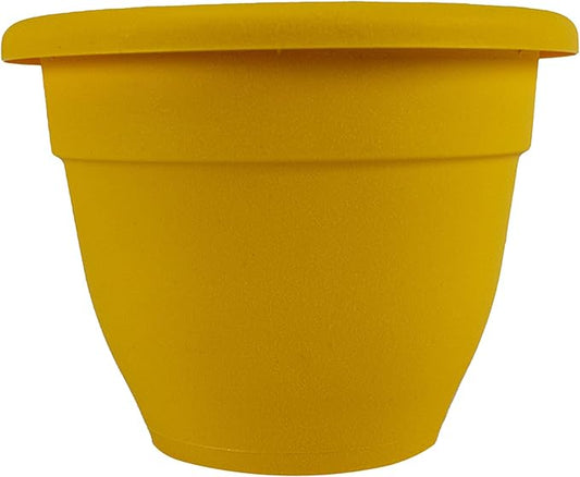 The HC Companies 10 Inch Caribbean Planter - Lightweight Indoor Outdoor Plastic Plant Pot for Herbs and Flowers, Honey