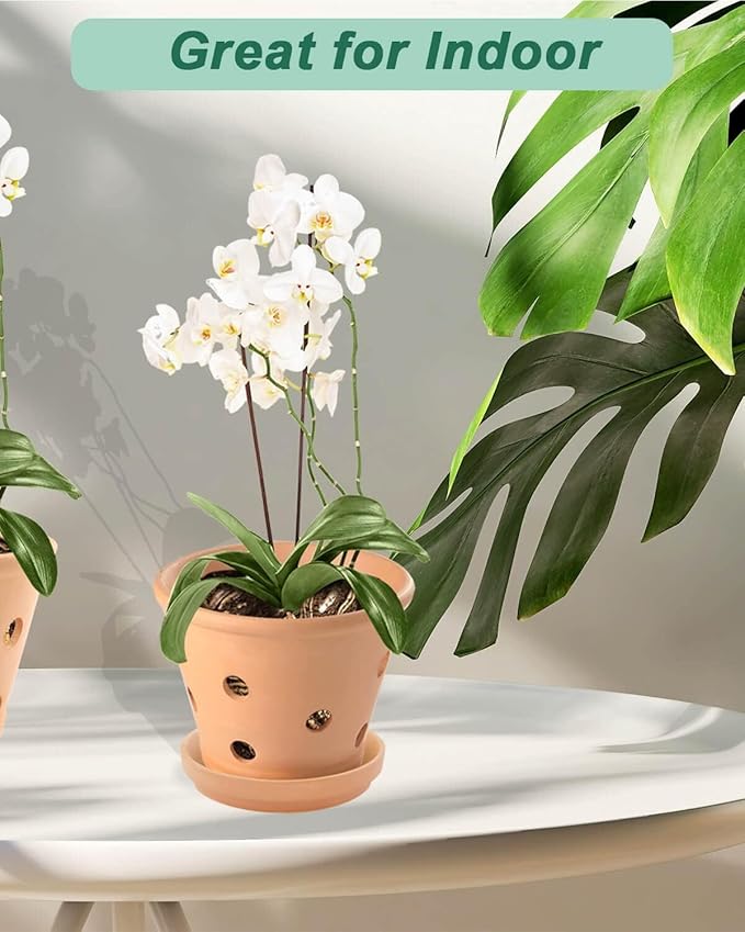 vensovo 8 Inch Terracotta Orchid Pots with Holes and Saucers - 2 Pcs Large Clay Planters for Repotting, Terra Cotta Pot for Plants Indoor and Outdoor Promotes Air Circulation