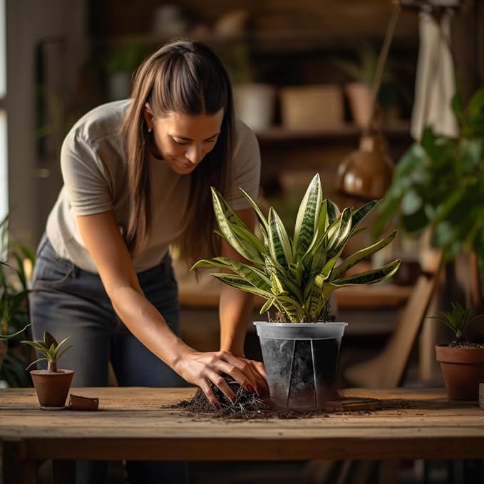 24 pcs 5/6 inch Clear Nursery pots for Plants,Thick Plastic Clear Plant pots with Drainage Holes and Saucers for Orchids,Succulents etc,Outdoor or Indoor use