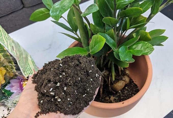 Premium ZZ Plant Organic Potting Blend - Sustainable Growth & Revitalized Soil Ecosystem - 5 QUARTS