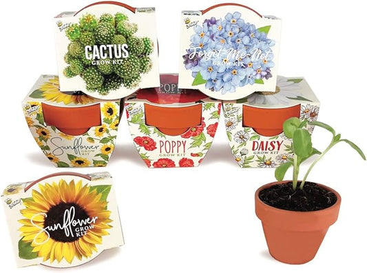 Buzzy Seeds Terracotta Mini Grow Pots | Herb, Plant, Flower Starter Kit for Kids & Adults | Assorted 6-Pack, Daydream Collection | Guaranteed to Grow | Best Indoor-Outdoor Gardening Gift