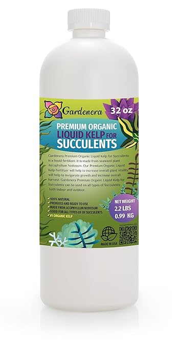 Liquid Seaweed Fertilizer for Succulents and Cacti - 32 oz - Elevate Your Plants' Health and Vibrancy Naturally