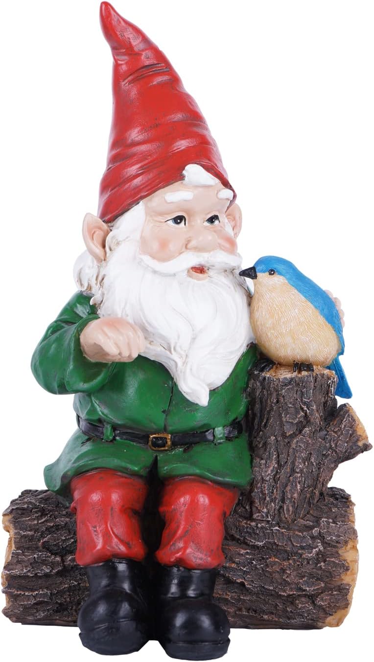 DUSVALLY Garden Gnome Statue, Outdoor Decoration Statues Vivid Statue Statuary Garden Sculptures Yard Décor, Gnome and Bird