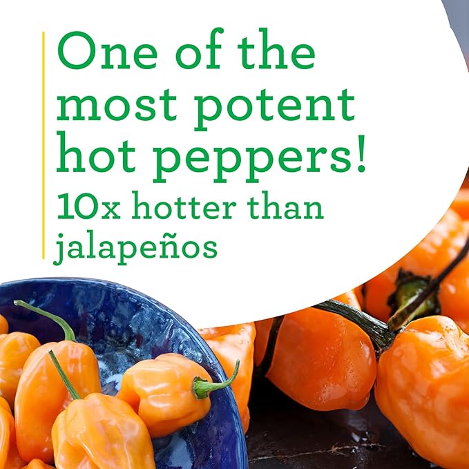Bonnie PLANTS Habanero Pepper - 4 Pack Live Plants, 1 - 2" Fruits, 24 - 36" Tall Plants, Great for Sauces & Basting,Orange