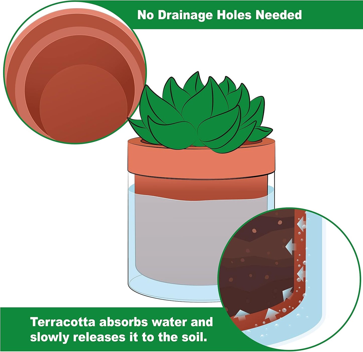 Phoenix Vine 4 Inch Self Watering Planter Pot, Terracotta Clay Pot with Glass Reservoir for Indoor Plants, Herbs, Flowers, Set of 3, 52-A-E-3