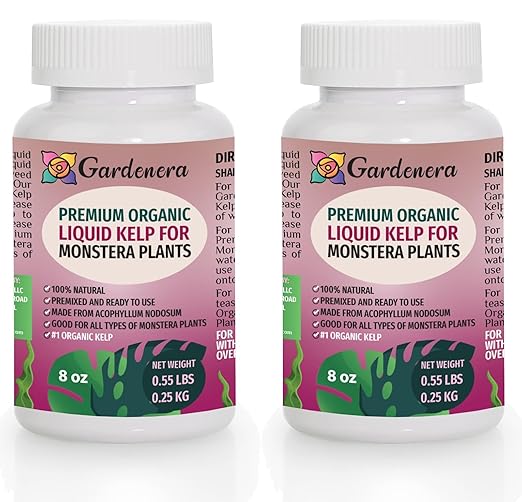 Monstera-Specific Organic Liquid Kelp Fertilizer - 16 oz - Boost Your Monstera's Growth and Leaf Development Naturally