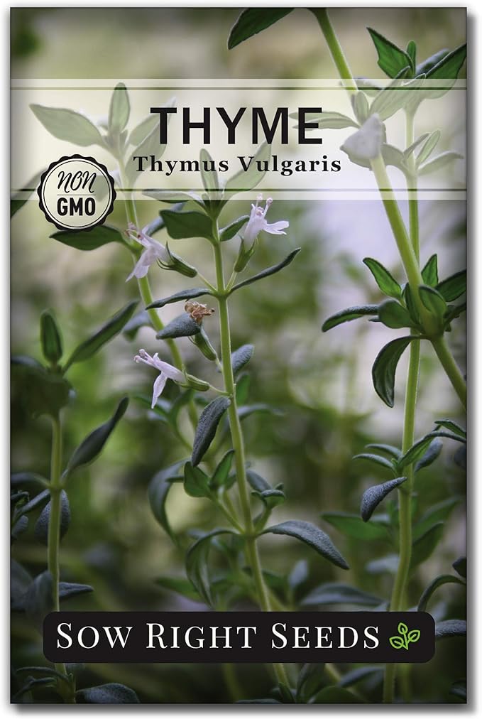 Sow Right Seeds - Dwarf Herb Seed Collection for Planting - Munstead Lavender, Greek Basil, Compact Dill, Roman Chamomile & Thyme to Grow a Home Garden - Compact Varieties - Grow Your Own Fresh Herbs