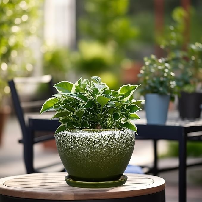 6 Inch Plant Pot - Ceramic Planter Pot with Drainage Hole and Saucer, Glaze Succulent Pot Modern Round Flower Pot for Indoor Plants, Dark Green