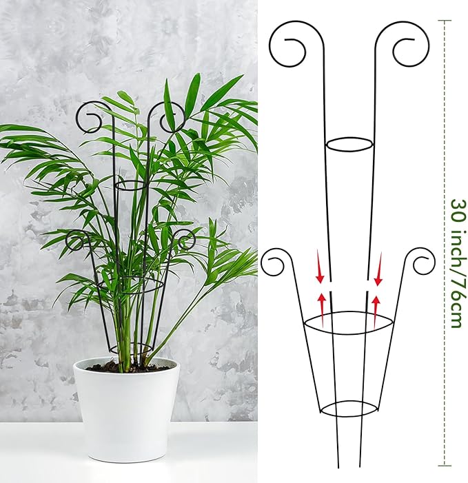 ZOUTOG Trellis for Climbing Plants Indoor 30 Inch, Houseplant Trellis for Potted Plants Metal 4Pcs for Vine Ivy Flower Support,Round Shape,Black