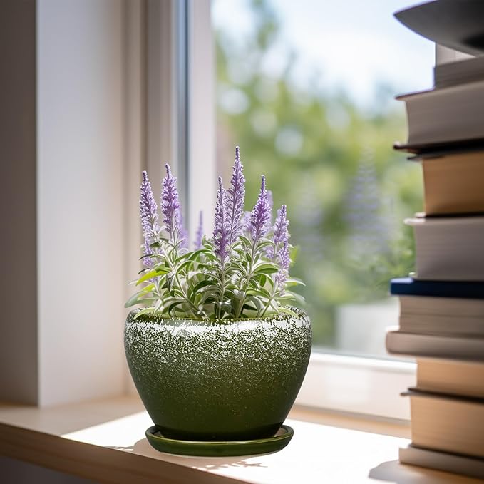 6 Inch Plant Pot - Ceramic Planter Pot with Drainage Hole and Saucer, Glaze Succulent Pot Modern Round Flower Pot for Indoor Plants, Dark Green