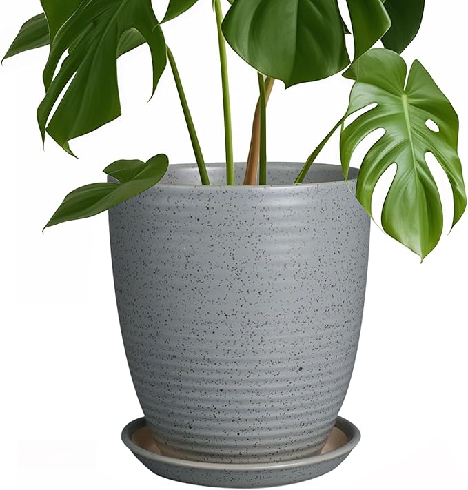 8 Inch Plant Pot Ceramic Planter Pot with Drainage Hole and Saucer Modern Round Flower Pot for Indoor Plants Light Gray
