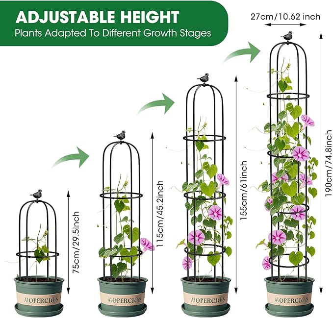 Garden Obelisk Trellis for Climbing Plants Outdoor 6.2 Ft Rose Bush Round Trellis for Pots Rustproof Metal Plant Flower Trellises for Clematis Vine Jasmine Support Outdoor Indoor (Black, 6.2ft)