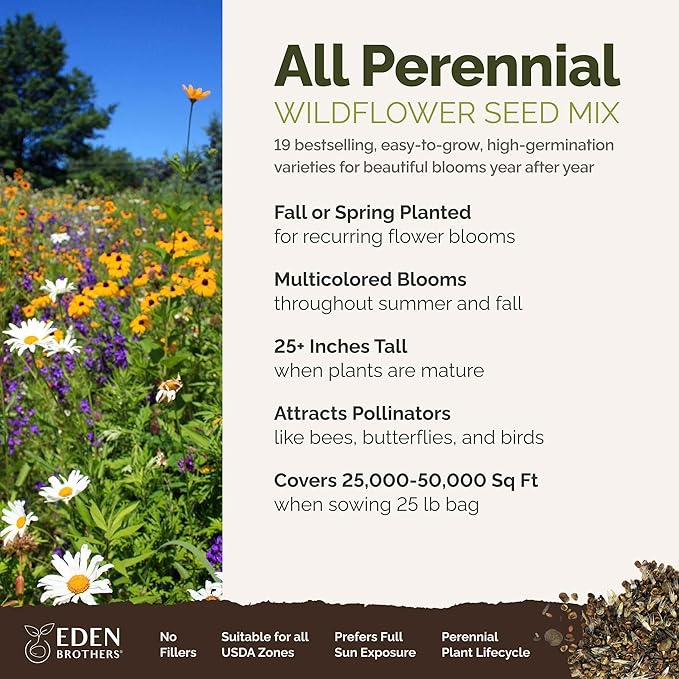 Eden Brothers All Perennial Wildflower Mixed Seeds for Planting, 25 lb, 12,000,000+ Seeds with Lupine, Shasta Daisy | Attracts Pollinators, Plant in Spring or Fall, Zones 3, 4, 5, 6, 7, 8, 9, 10