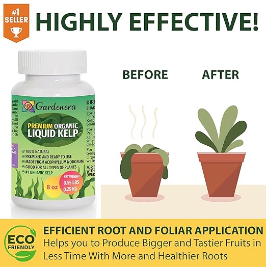 Natural Liquid Seaweed Premium Concentrate - 16 oz - Organic Plant Superfood for Gardening - Kelp Extract for Gardens, Lawns, Plants & Soil