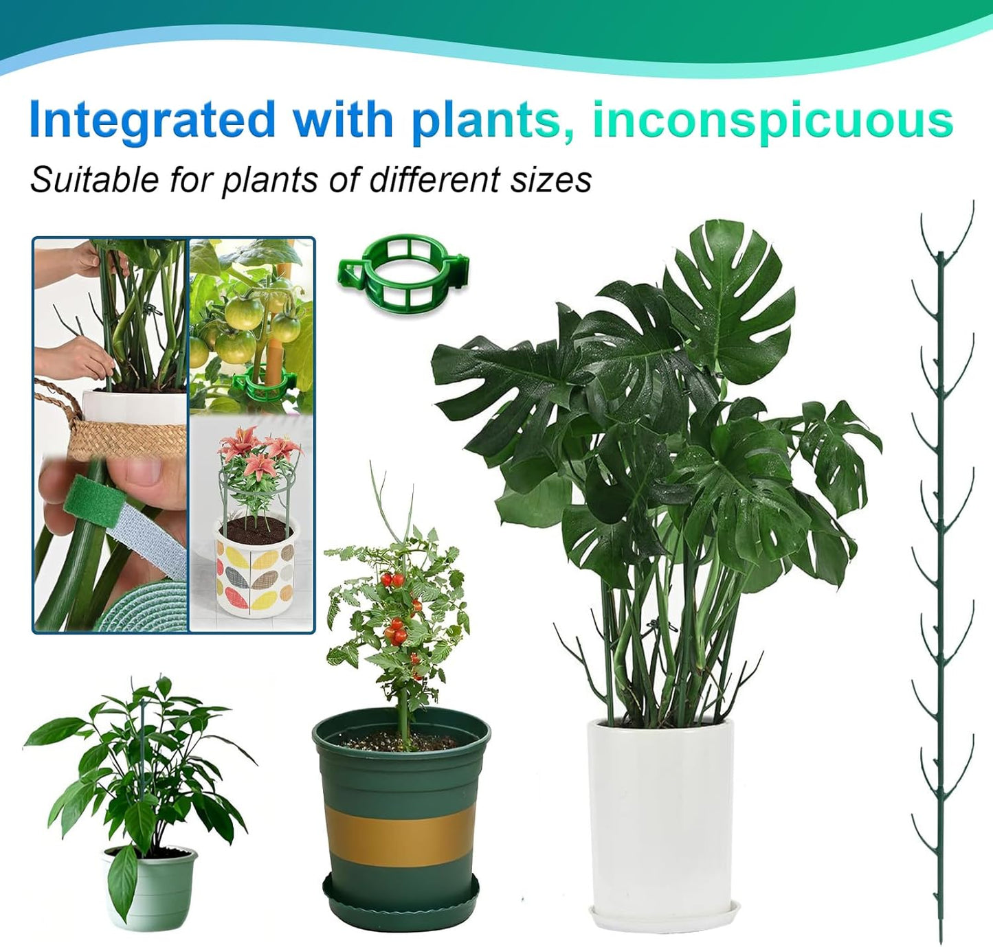 5pack Stackable Monstera Support Frame Set Indoor Outdoor Plant Gardening Supports Ideal for Climbing Plants, Potted Plants, and Other Horticultural Accessories