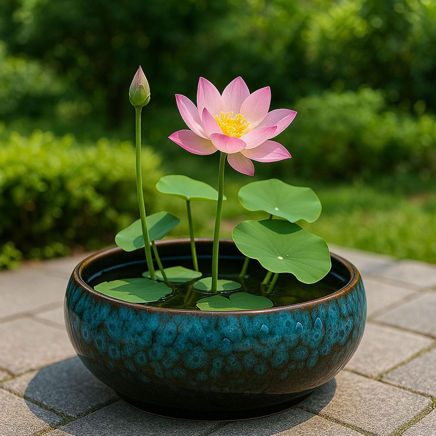 Oncpcare Lotus Bowl Planter – Glazed Ceramic Water Plant Pot for Indoor Outdoor Use, Shallow Hydroponic Vase for Lotus Seeds, Succulents, Bonsai, Water Lily Arrangement (Blue)