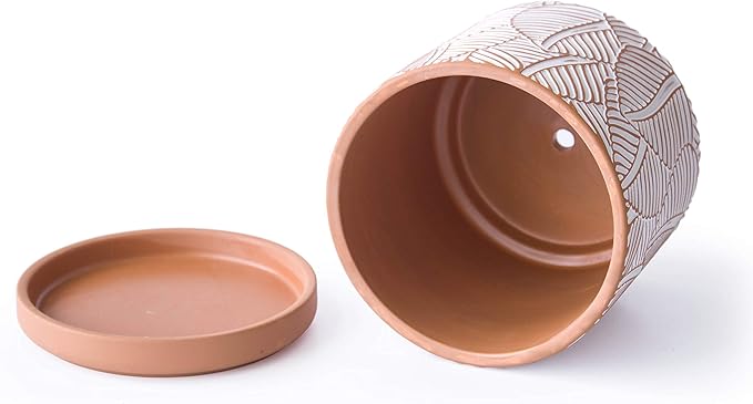 D'vine Dev Set of 2 Terracotta Pots, Broadleaf Pattern Planter Pot, 4 Inch and 6 Inch, Pot with Drainage Hole and Saucer, Terracotta/White, 31-958-H-1