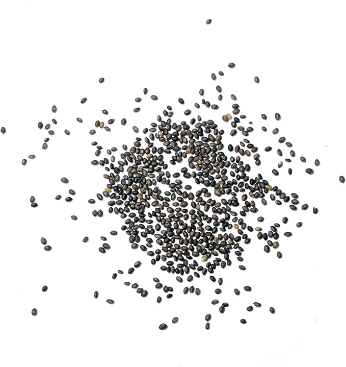 Seed Needs Summer Savory Seeds for Planting - Non-GMO, Heirloom & Untreated Annual Herbs - Organically Grow a Culinary Kitchen Garden Indoors or Outdoors (1 Pack)