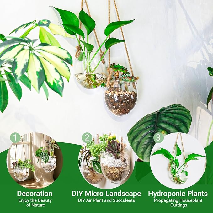 Wall Hanging Glass Planter Air Planter Terrarium Vase Propagation Stations for Hydroponic Plants, Succulent Moss Tillandsias Air Plants Globe,Home Office Garden Decor, Set of 2
