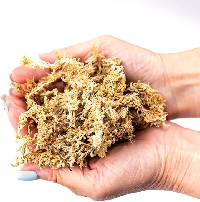 Premium New Zealand Sphagnum Moss - Organic Hand Mixed Long Fibered Sphagnum Moss Orchid - 3 Quart