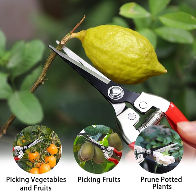 Kynup 3Pack Pruning Shears, Garden Shears, Pruning Shears for Gardening, Gardening Shears, Garden Scissors, Garden Clippers, Gardening Tools with Gloves, Stainless Steel, Soft Grip Handle