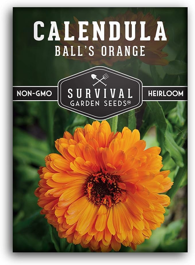 Survival Garden Seeds Ball's Orange Calendula Seed for Planting – 1 Packet with Instructions for Growing Medicinal Herbs in Your Home Vegetable Garden – Non-GMO Heirloom Variety Herb Seed
