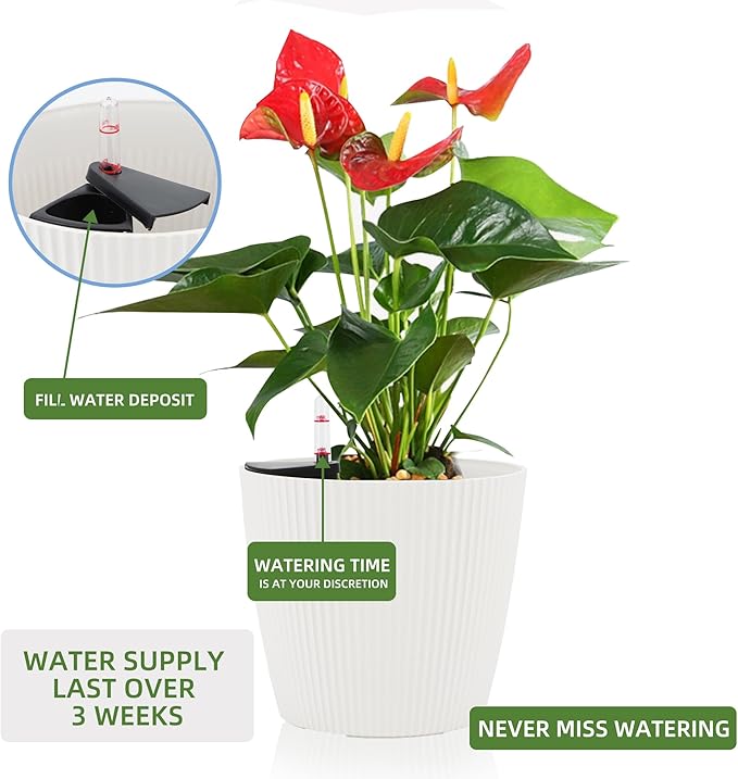Dexceder 11x10 Self Watering Planters Indoor, Inner Mat Design, Table Flower Plant Pot with Water Level Indicator (2 Pack, White)