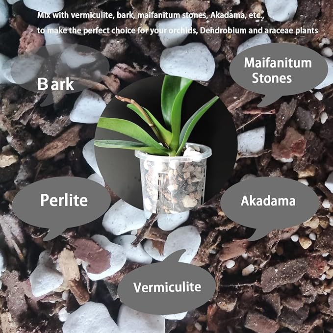 Natural 1-2CM Hard Chunky Perlite 2QT for Plants Horticultural Coarse Organic Pearlite Bulk Potting Mix Garden Soil Amendment for Enhanced Drainage and Ventilation for Orchid, Dendrobium, Araceae