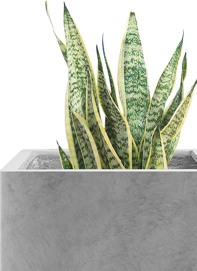 Kante 16 Inch Square Concrete Planter for Outdoor Indoor Home Patio Garden, Large Plant Pot with Drainage Hole and Rubber Plug, Natural Concrete