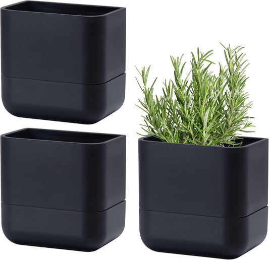 Phoenix Vine 6.5-Inch Wall Mounted Self-Watering Planter Pot for Indoor Houseplants and Herbs | Modern Hanging Planter for Window Sills, Bathroom Walls, Home & Office Décor, Black, Set of 3, 01-WP-B-3