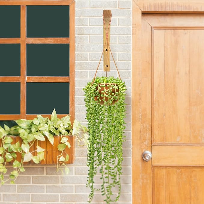 FGSAEOR Plant Hanger, Wall Planters for Indoor Plants, Wooden Wall Mounted Hanging Plant Hooks, Basket Hooks for Lanterns, Flower Bracket, Wind Chimes, Decoration (2-Pack,8-Inch)