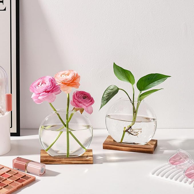 4 Pack Plant Propagation Station with Wooden Base Glass Terrariums for Indoor Plants Decorative Round Vases for Flowers Hydroponic Planter for Home Office Decor