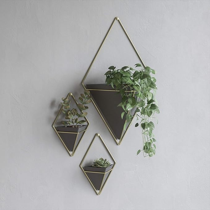 Umbra Trigg Hanging Planter Vase Wall Decor, Pot and Container for Succulents, Cactus, Faux Plants, and More, Large, Black/Brass