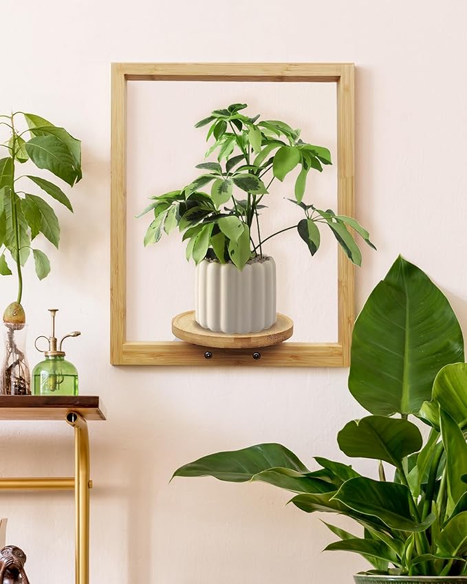 yadoker Wall Planters for Indoor Plants,Bamboo Hanging Plant Holders, Wall Decor Plant Stand, 1-Pack Window Plant Shelves for Living Room & Entryway