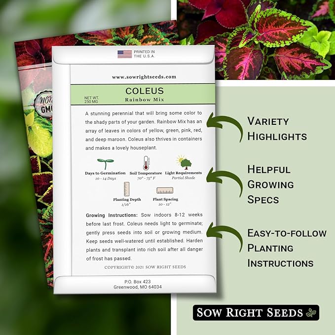 Sow Right Seeds - Coleus Rainbow Mix Seeds for Planting - Beautiful Flowers to Plant in a Home Garden - Indoors or Outdoors - Non-GMO Heirloom Seeds - Attractive & Colorful - Great Gardening Gift (4)