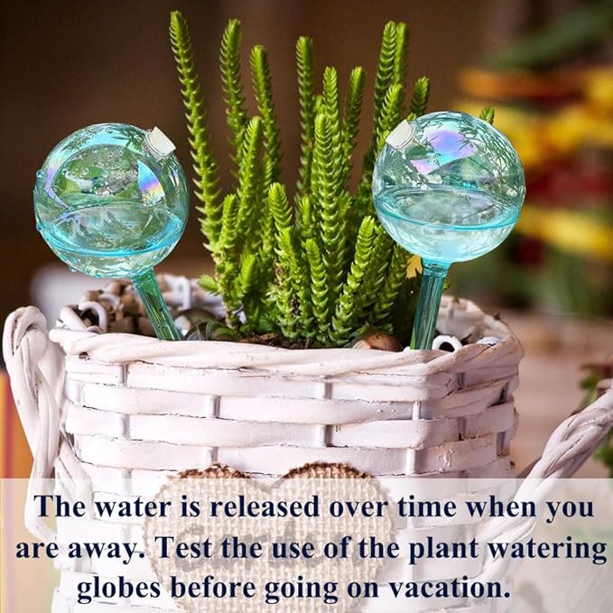 2pcs Galss Plant Watering Devices, Planter Self Watering Globes for Home Potting, Garden Flower Plant Watering Spikes Automatic Plant Waterer System Set for Indoor Outdoor Plant Daily Watering
