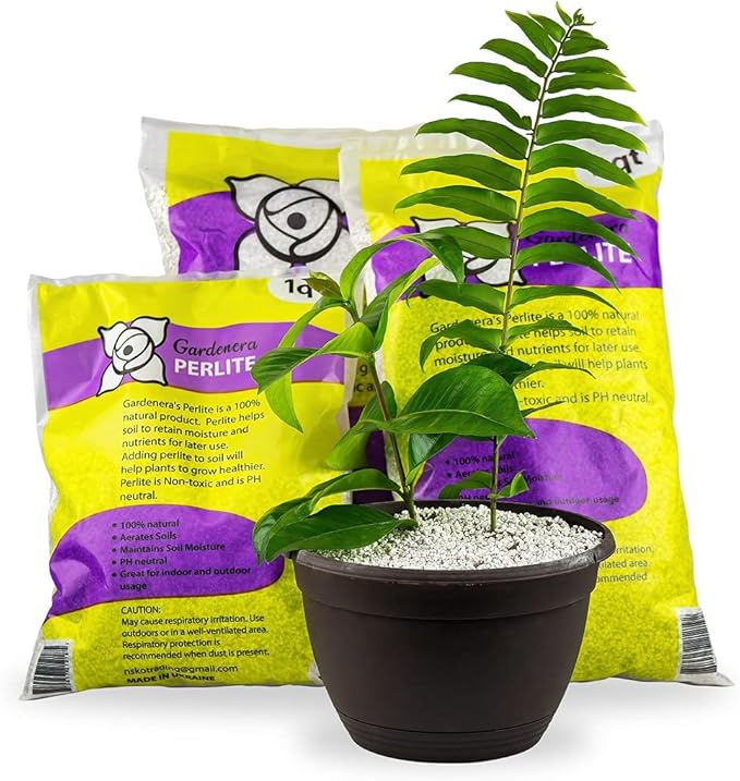 Premium Gardenera Organic Perlite - Medium/Fine Grade Horticultural Soil Amendment for Indoor & Outdoor Container Plants for Drainage Management and Enhanced Growth - 8 Quart Bag